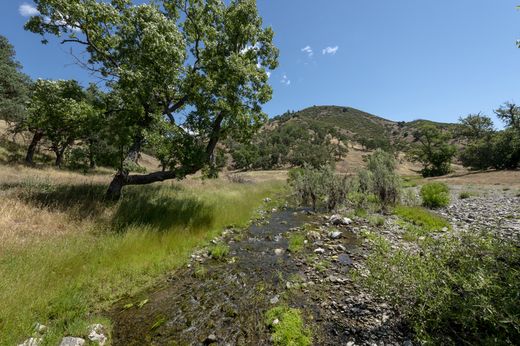 Coe Ranch Campground