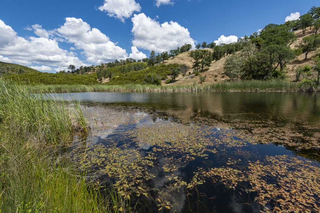Coe Ranch Campground