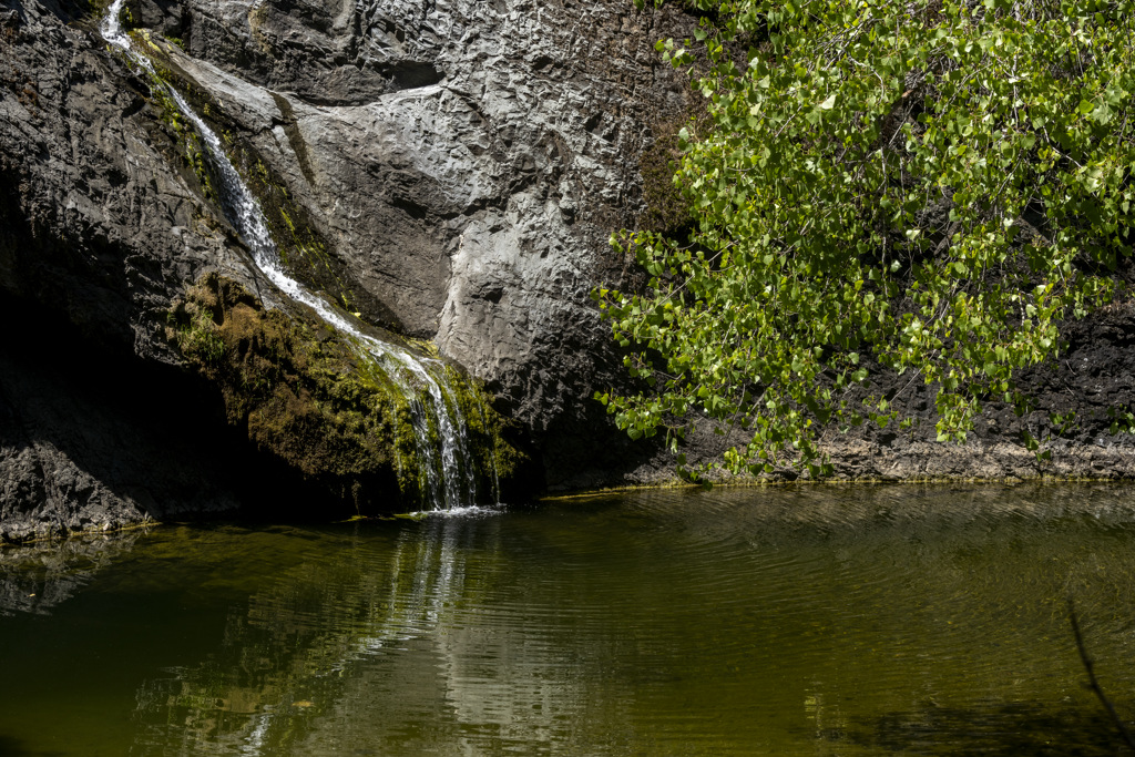 Manzanita Point Hike-In Group Campground