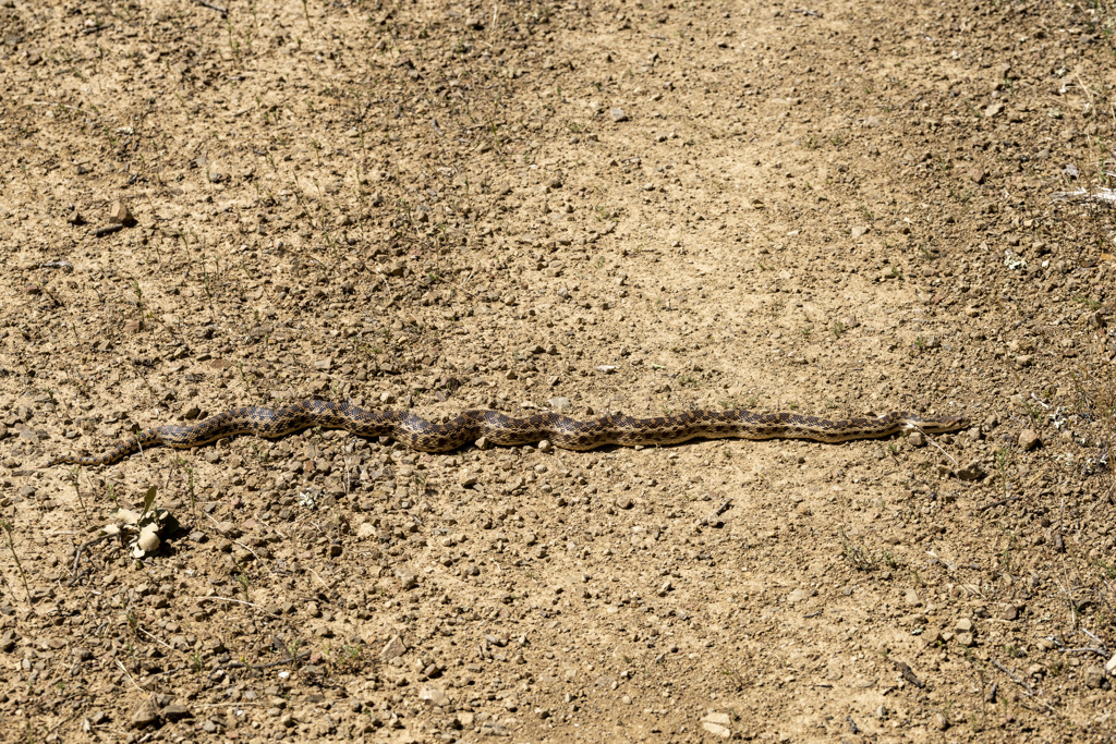 Manzanita Point Hike-In Group Campground