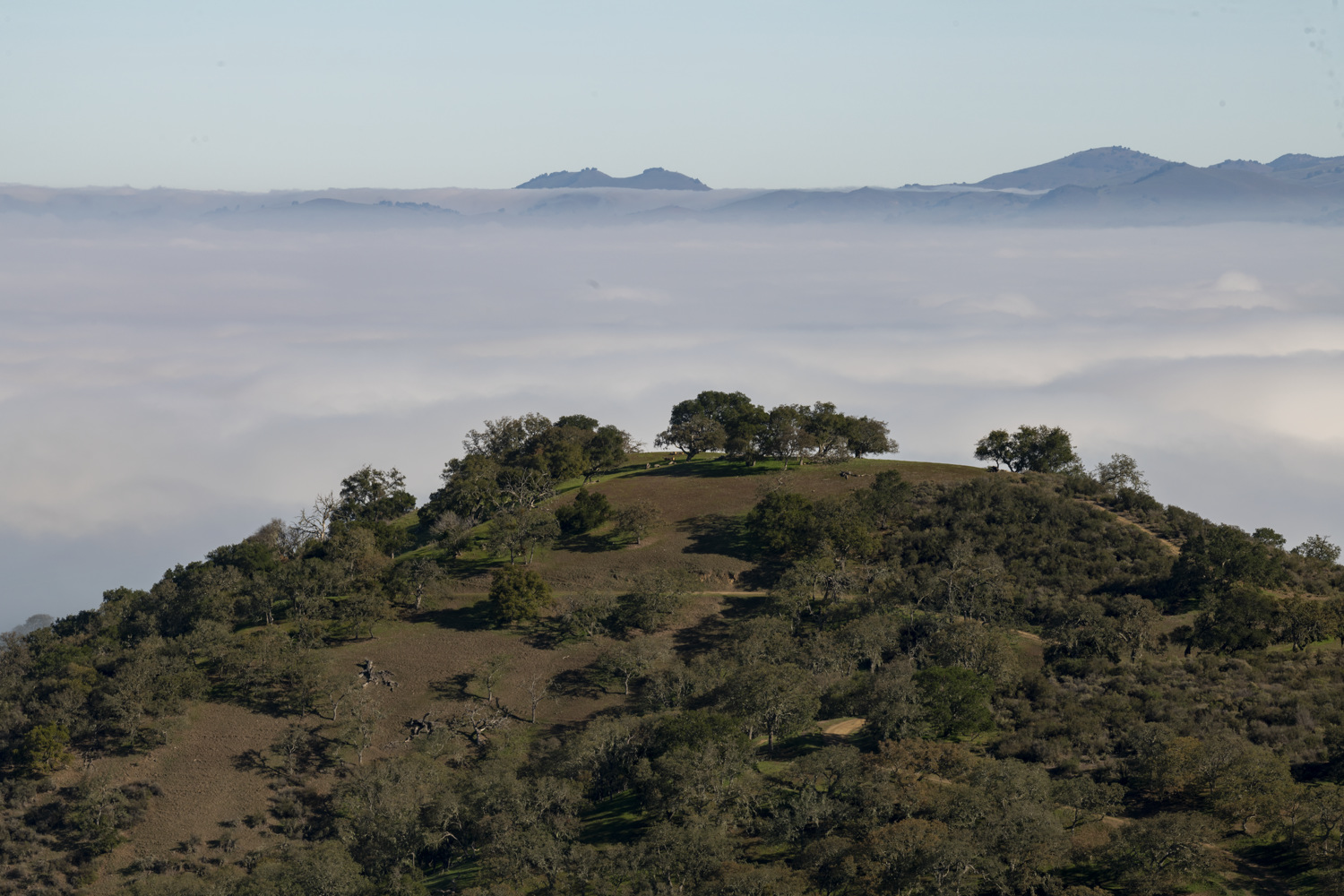 Valley View Campground