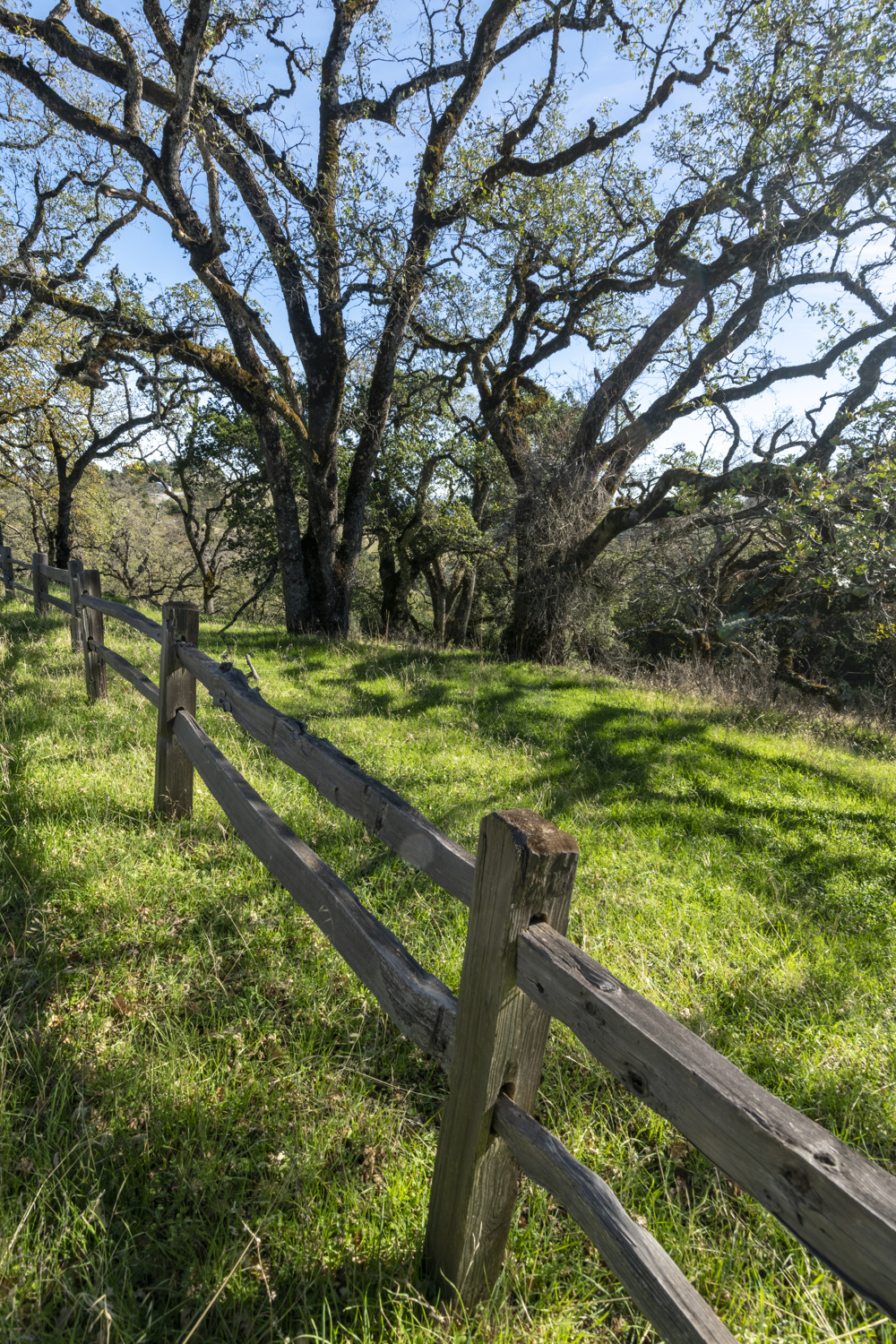 Valley View Campground