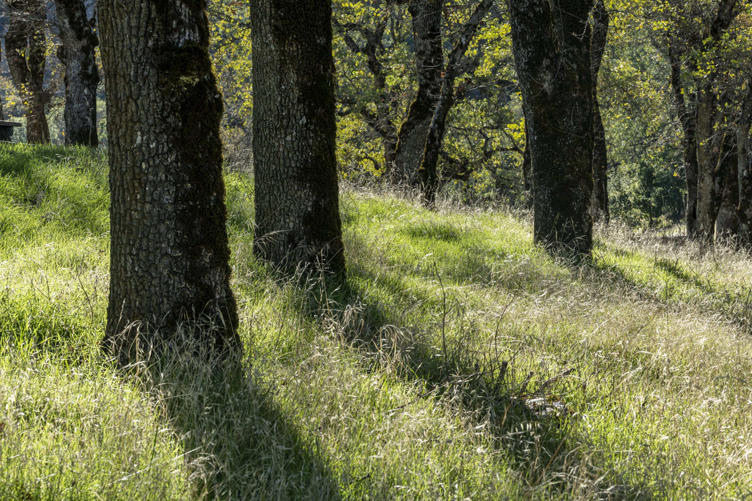 California State Parks