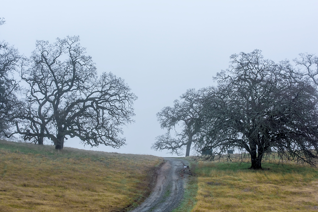 California State Parks