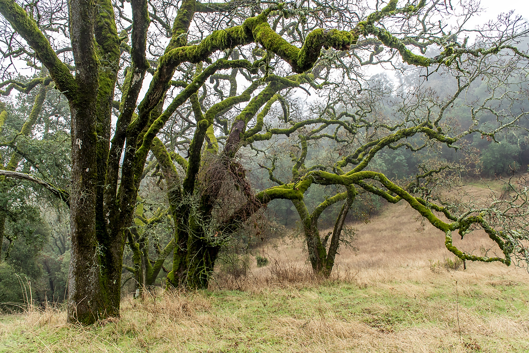 Valley View Campground