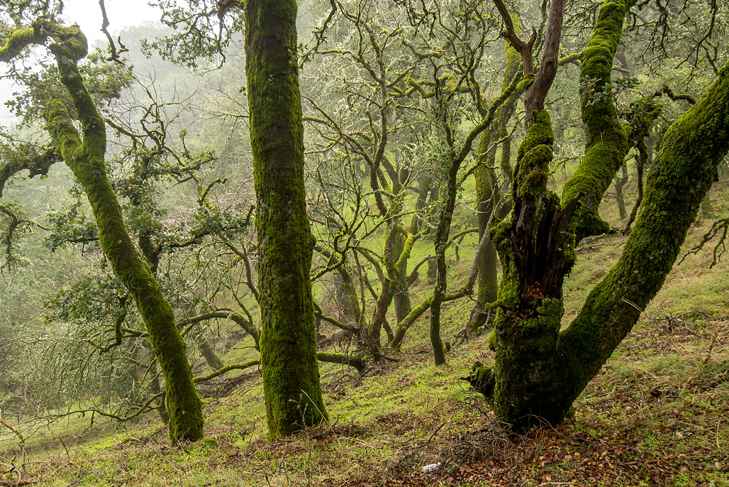 Oak Point Campground