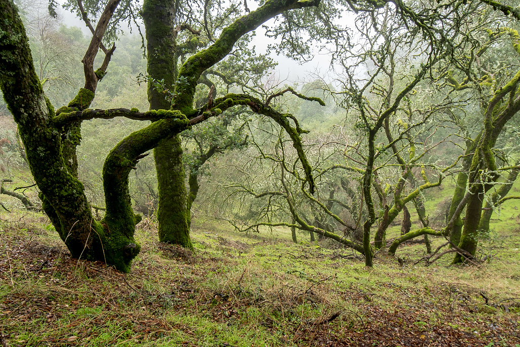 California State Parks