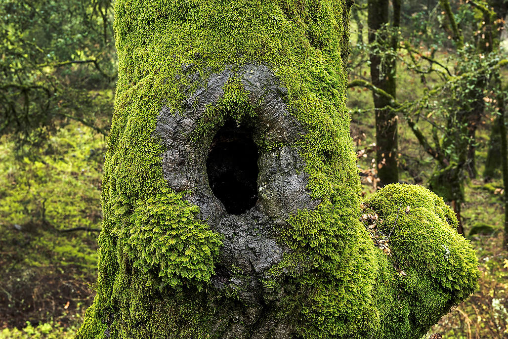 Valley View Campground