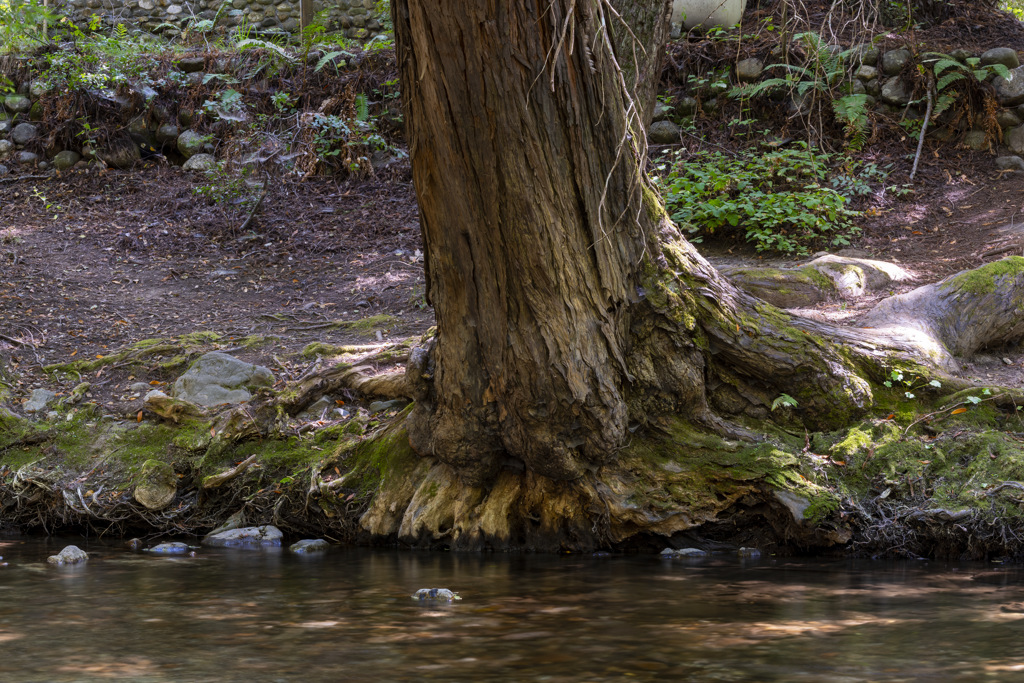 California State Parks