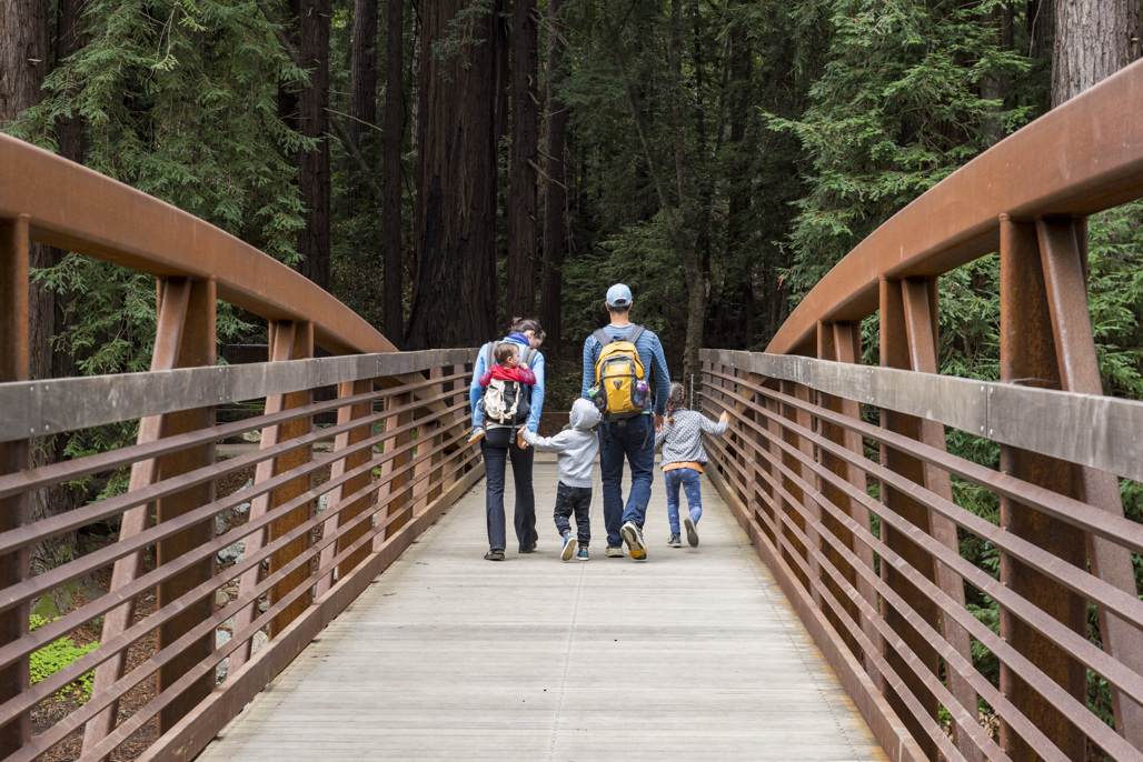 Pfeiffer Big Sur Campground
