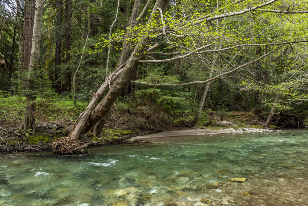 California State Parks