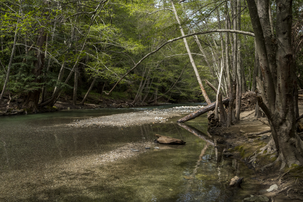 Pfeiffer Big Sur Campground
