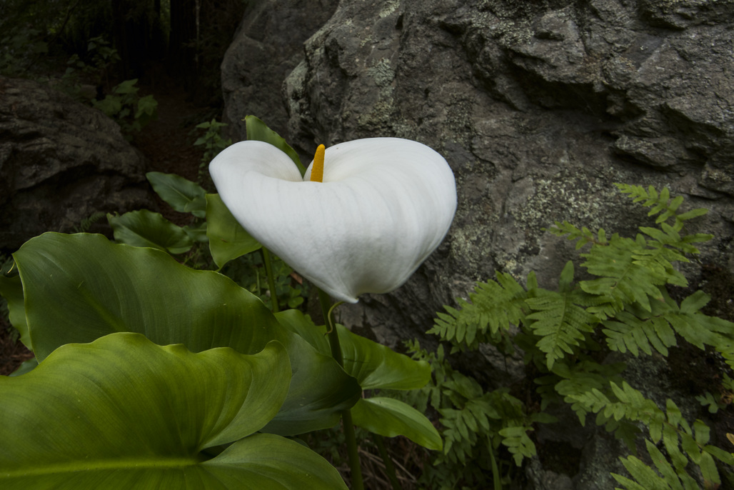 Environmental Group Campground
