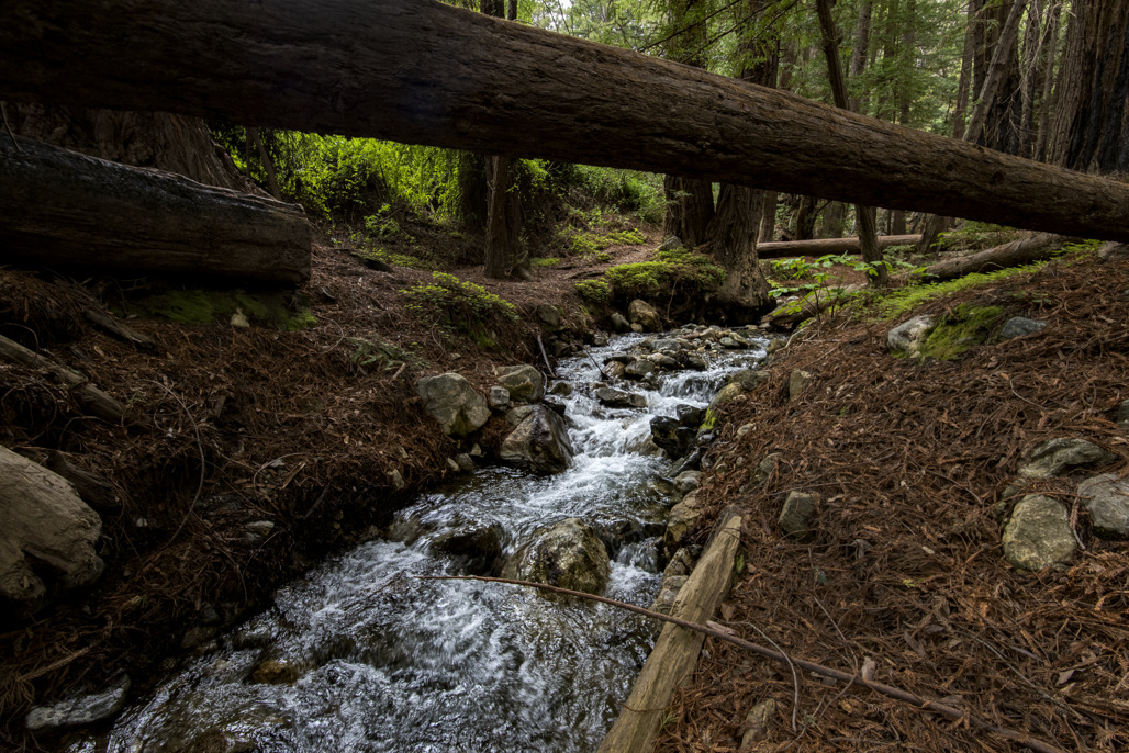Environmental Group Campground