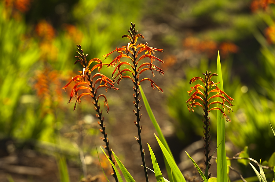 Environmental Group Campground