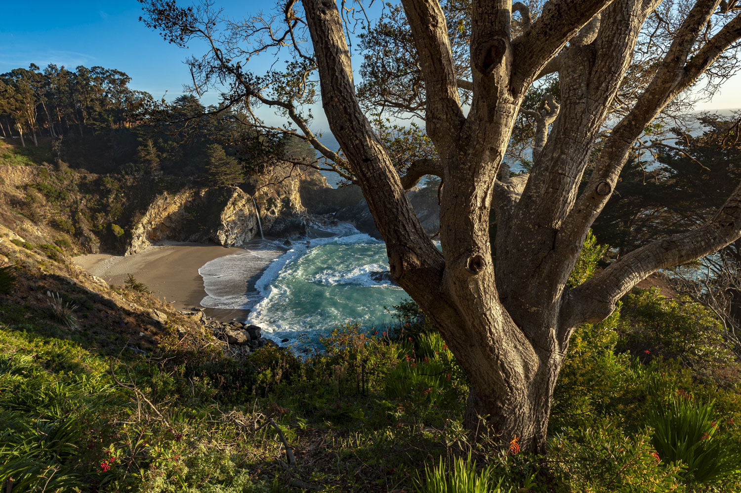 Environmental Group Campground