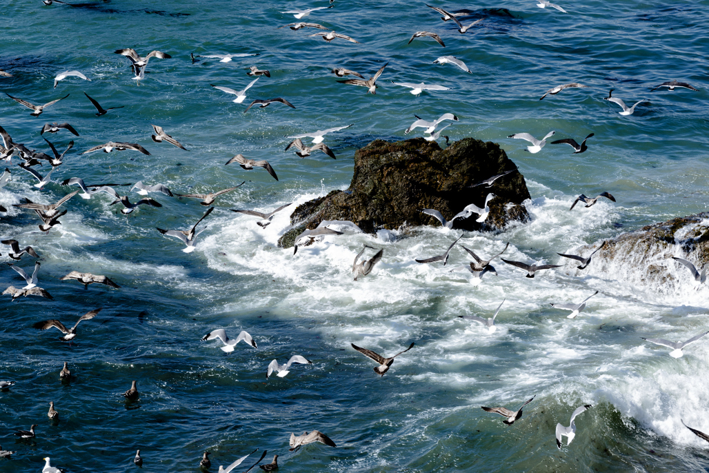 California State Parks