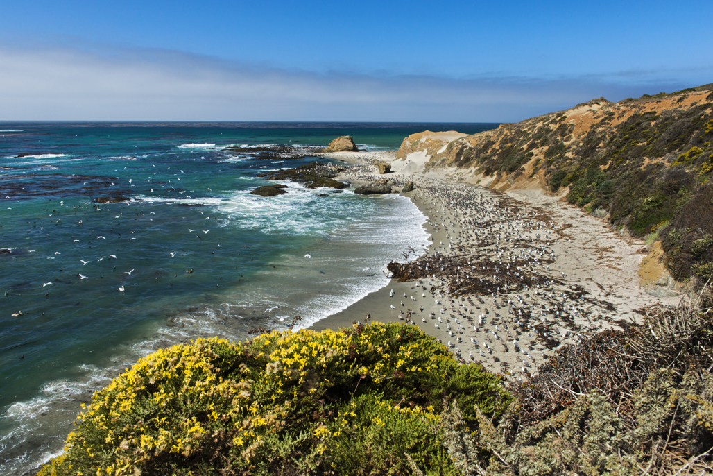California State Parks