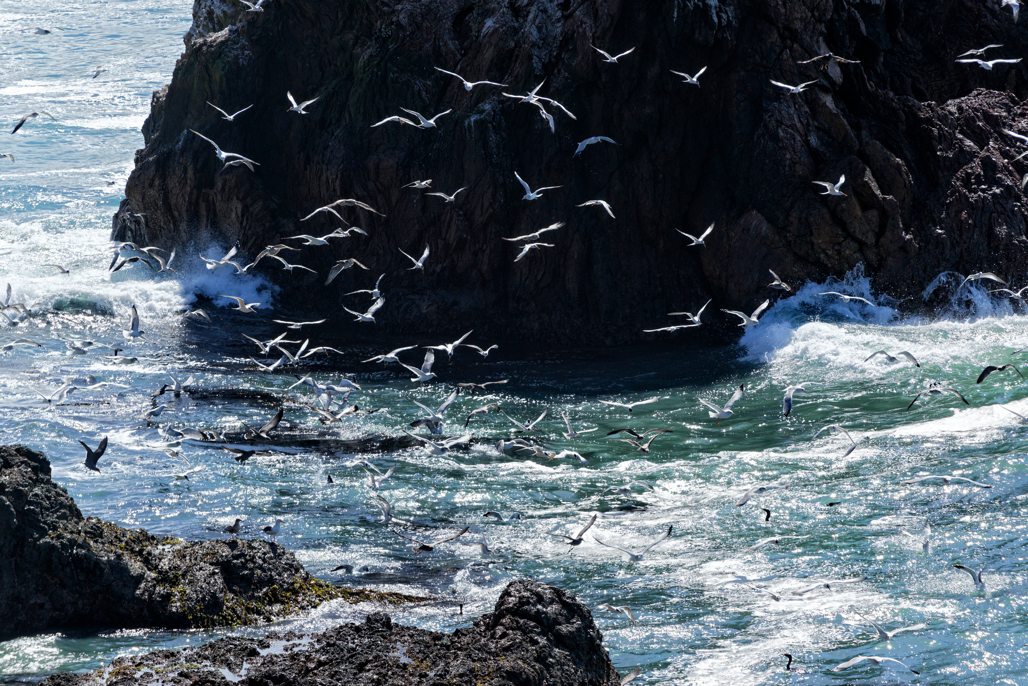 California State Parks