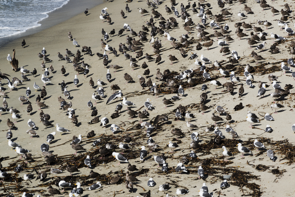 California State Parks