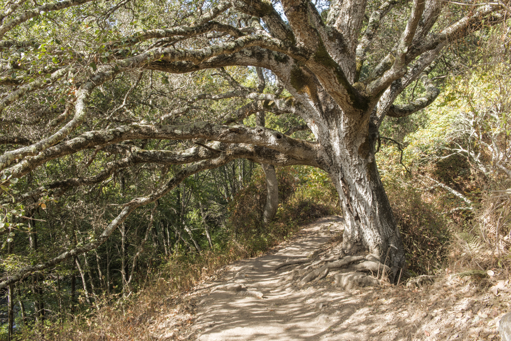 California State Parks