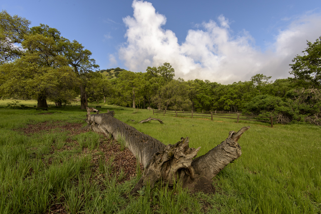 Fort Tejon Group Campground