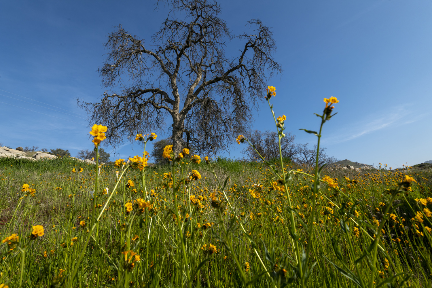 California State Parks
