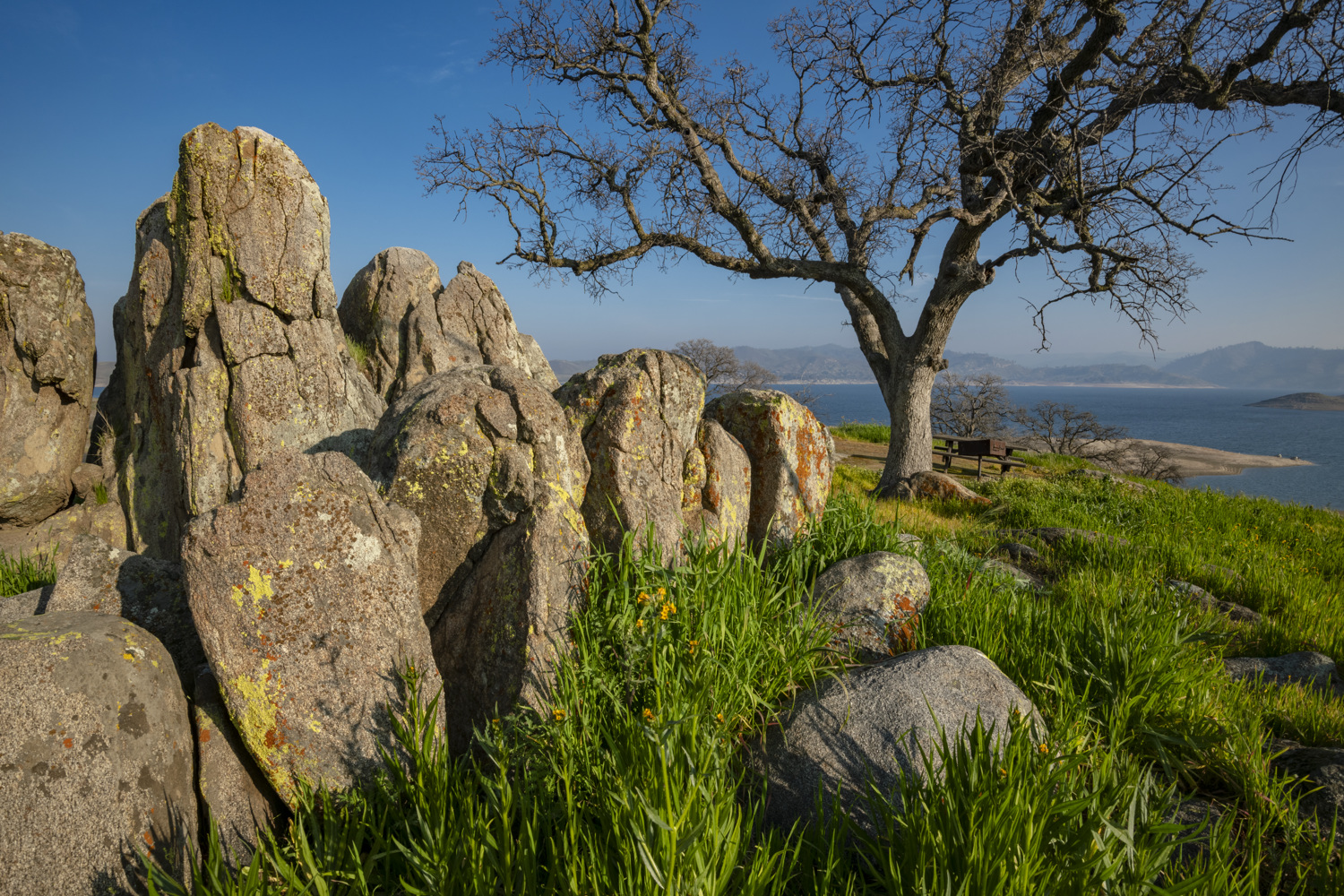 California State Parks