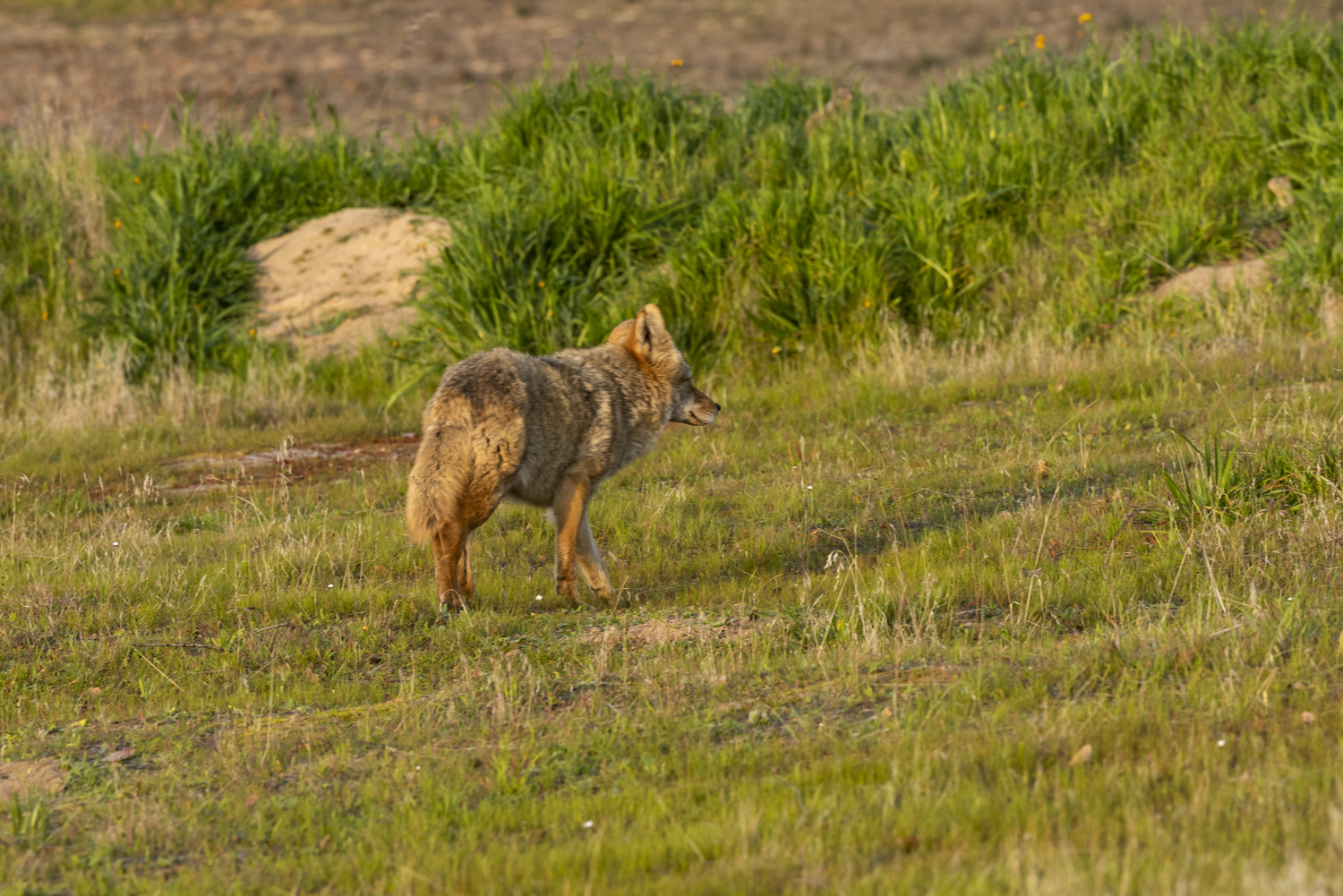 California State Parks