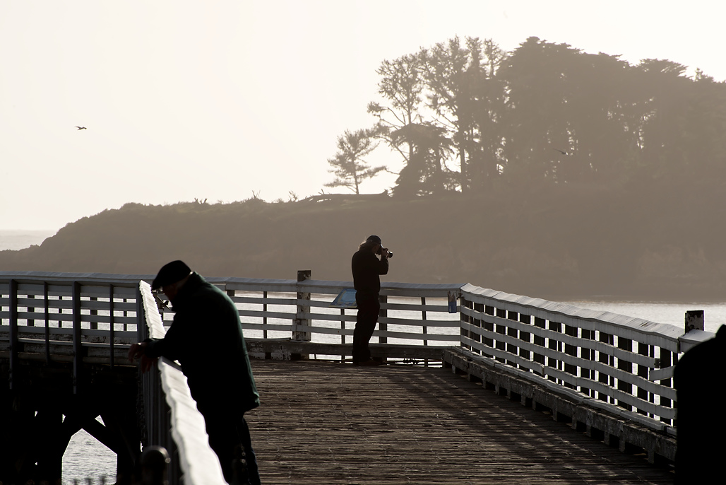 California State Parks