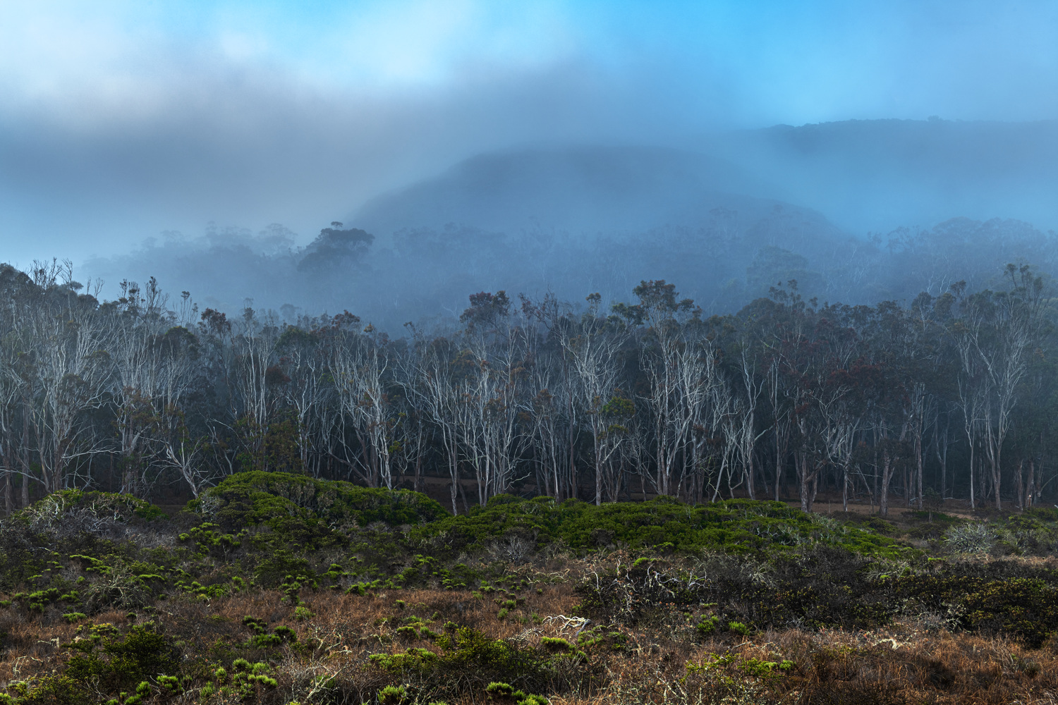 Islay Creek Campground