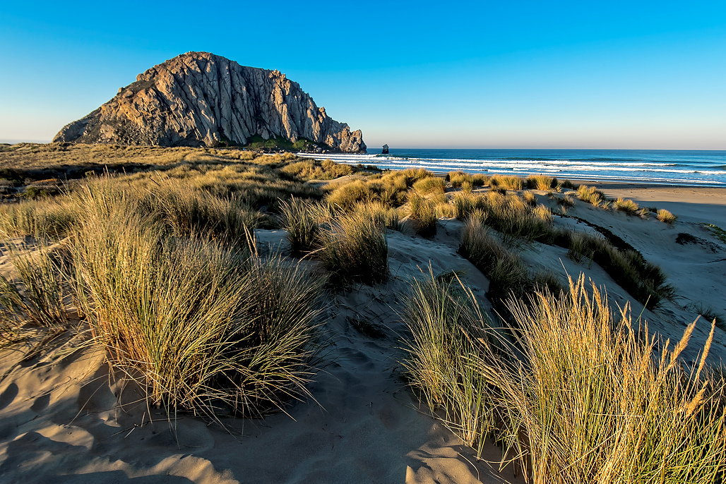 Morro Strand State Beach Campground