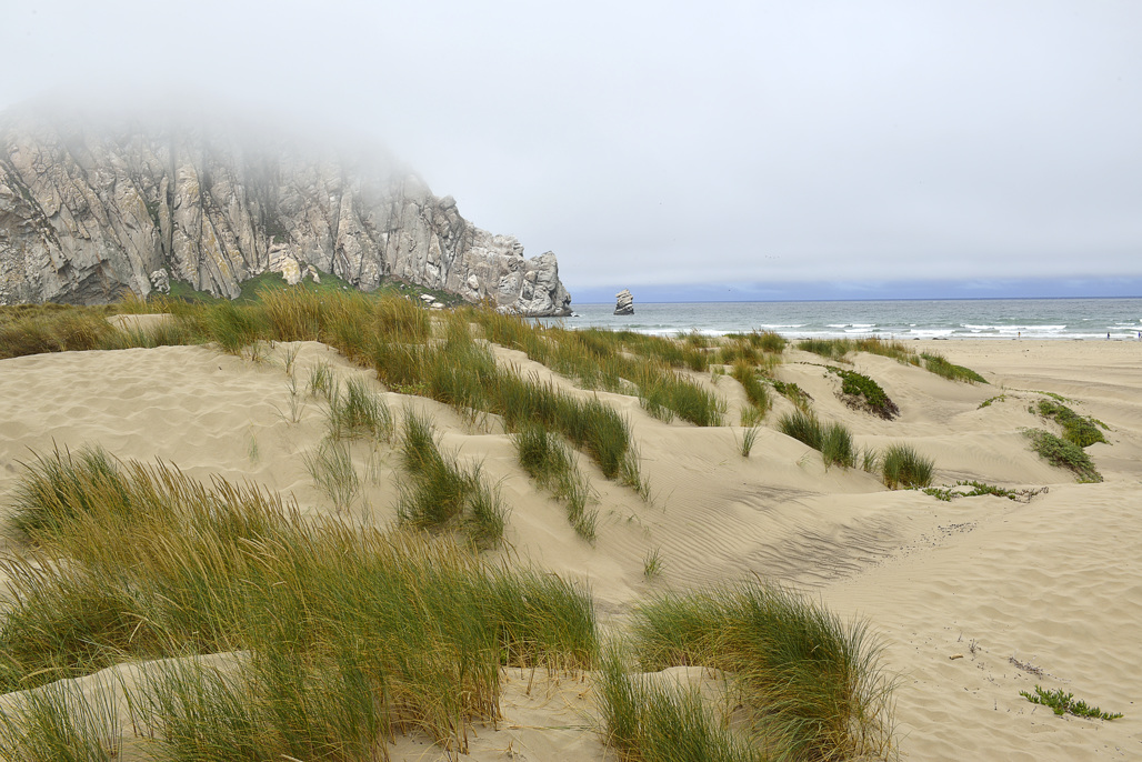 California State Parks