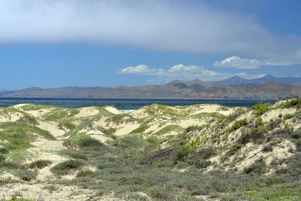 California State Parks