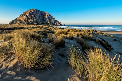 Morro Strand State Beach Campground