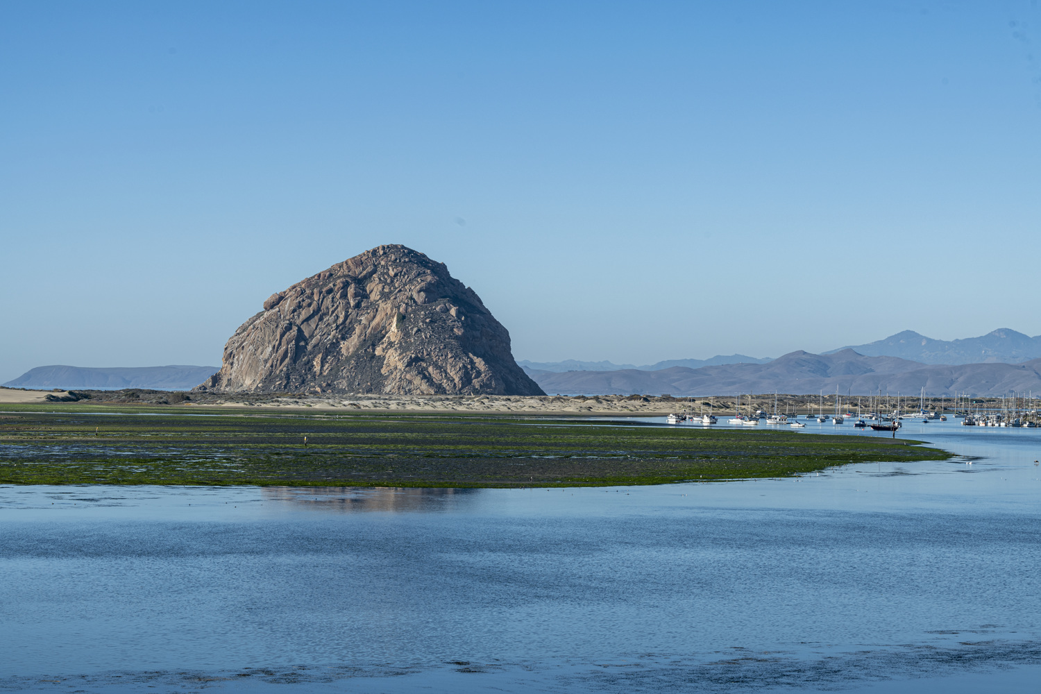 Morro Bay State Park Campground