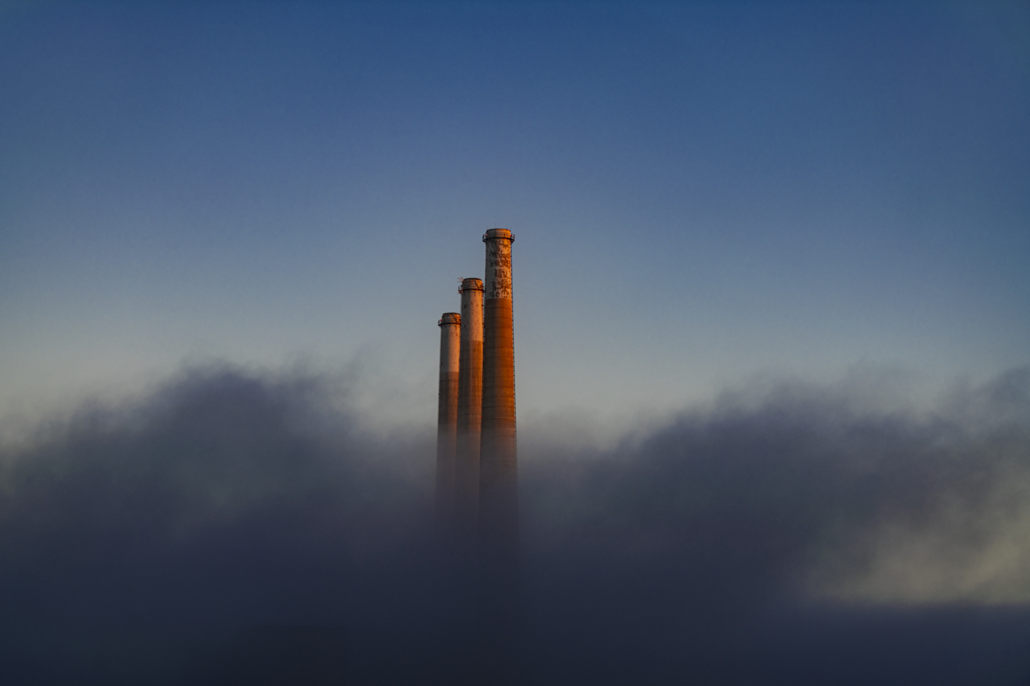 Morro Bay State Park Campground