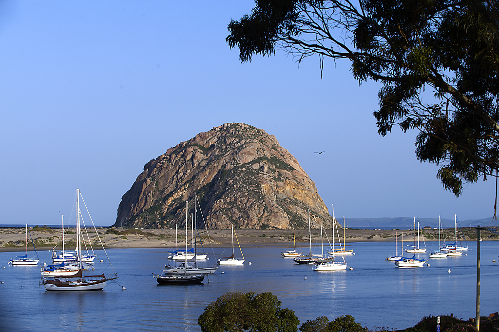 Morro Bay State Park Campground