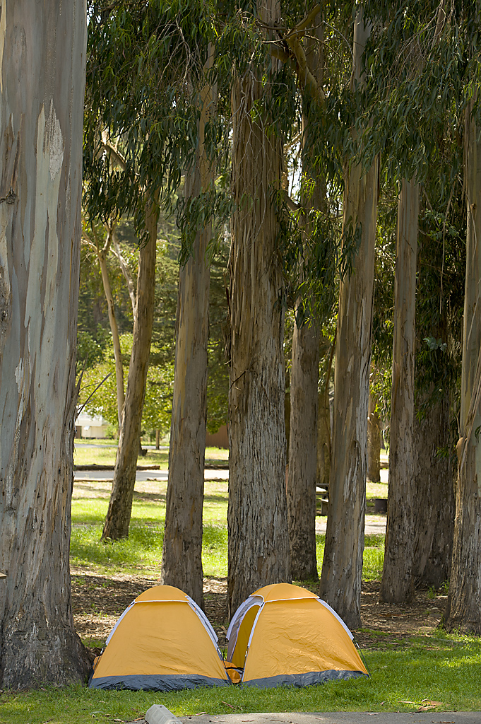 Morro Bay State Park Group Campground