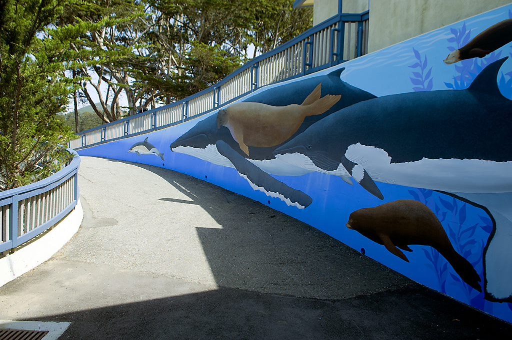 Morro Bay State Park Campground