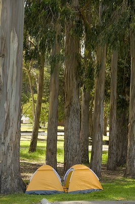 Morro Bay State Park Group Campground