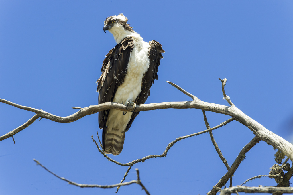 California State Parks