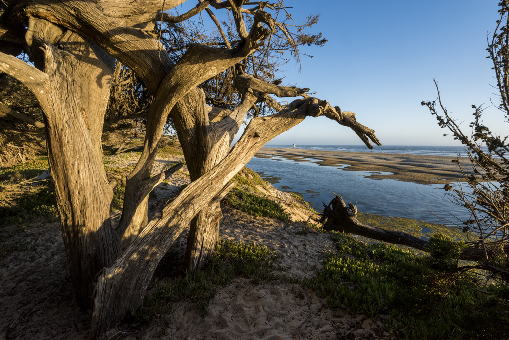 California State Parks