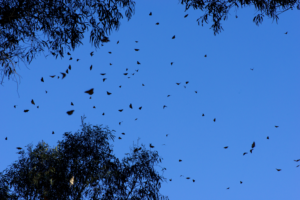 California State Parks
