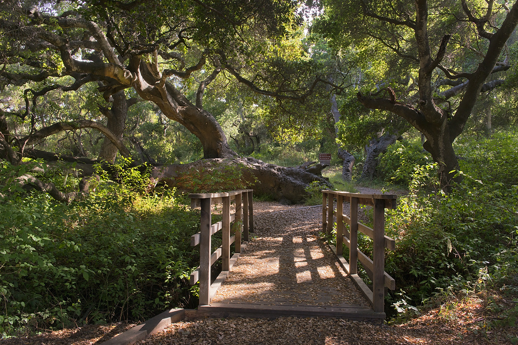 Willow Creek Environmental Campground