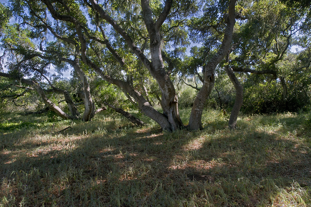 Willow Creek Environmental Campground