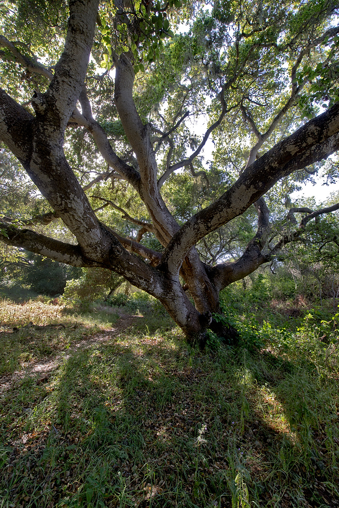 California State Parks