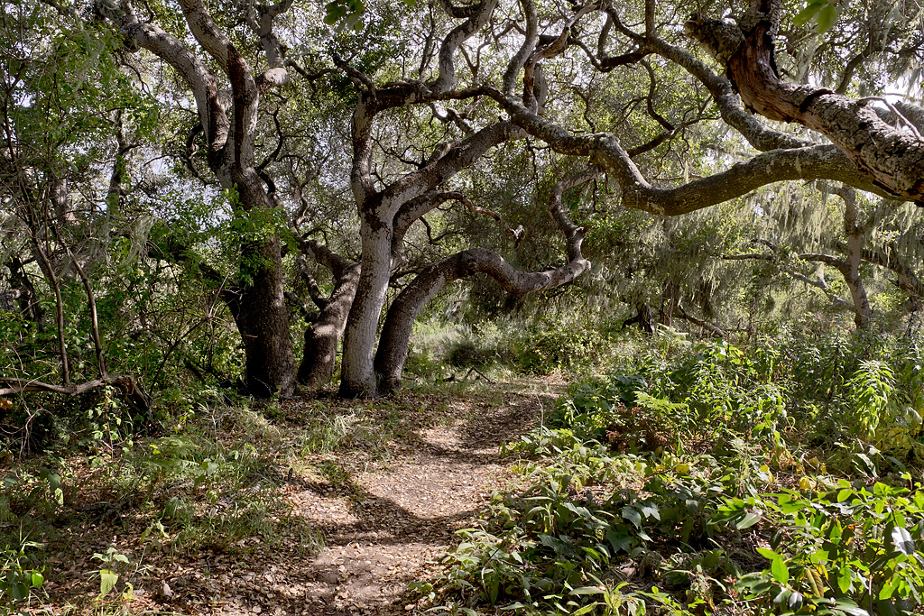 California State Parks