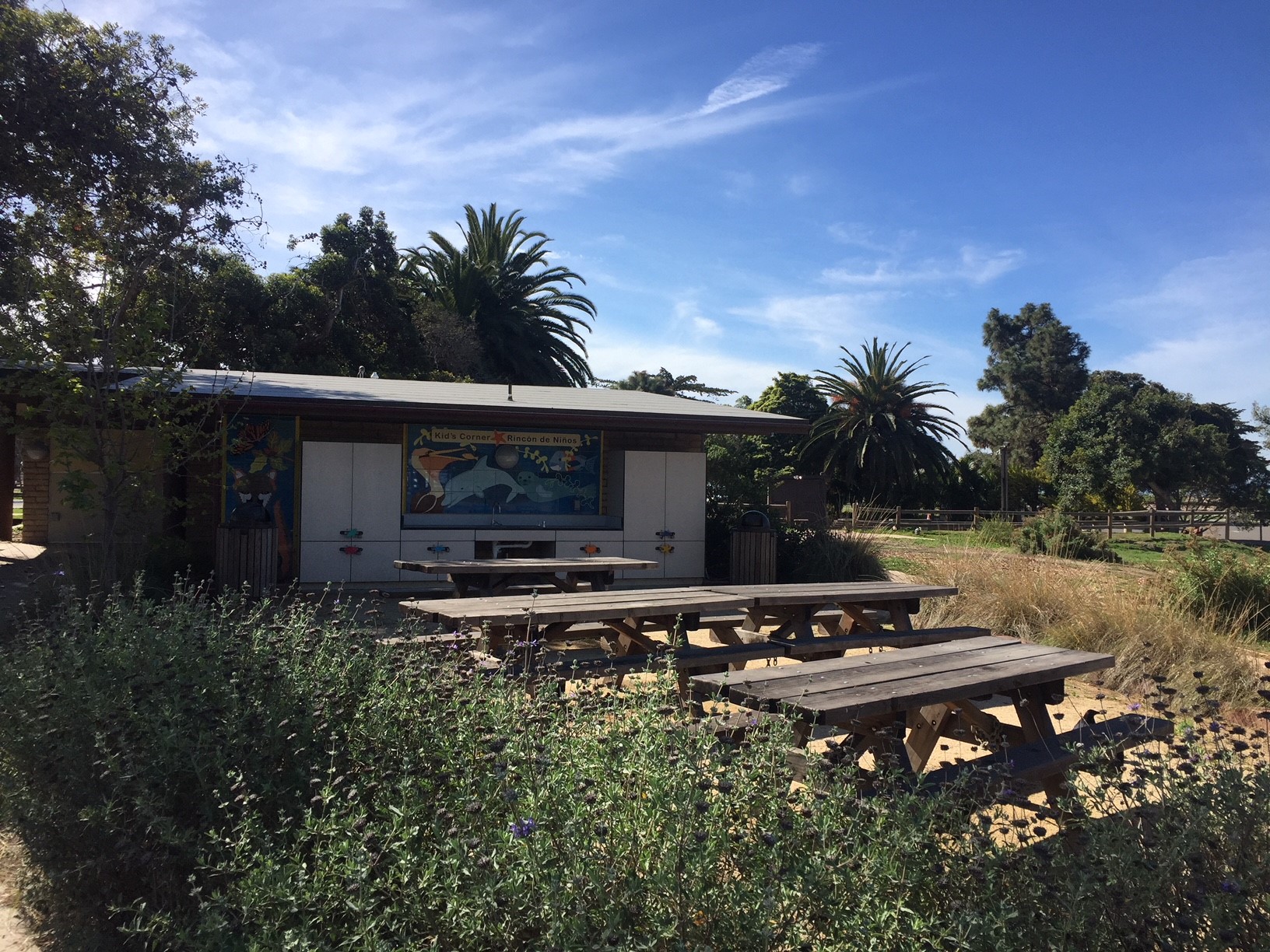 Carpinteria State Beach Campground