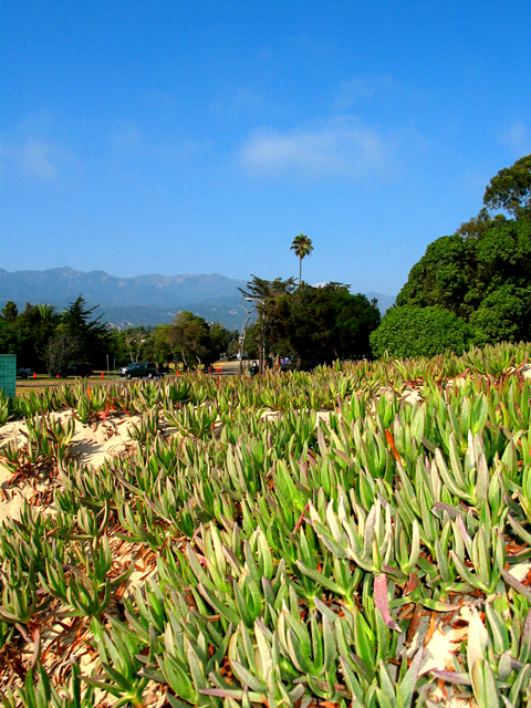 California State Parks